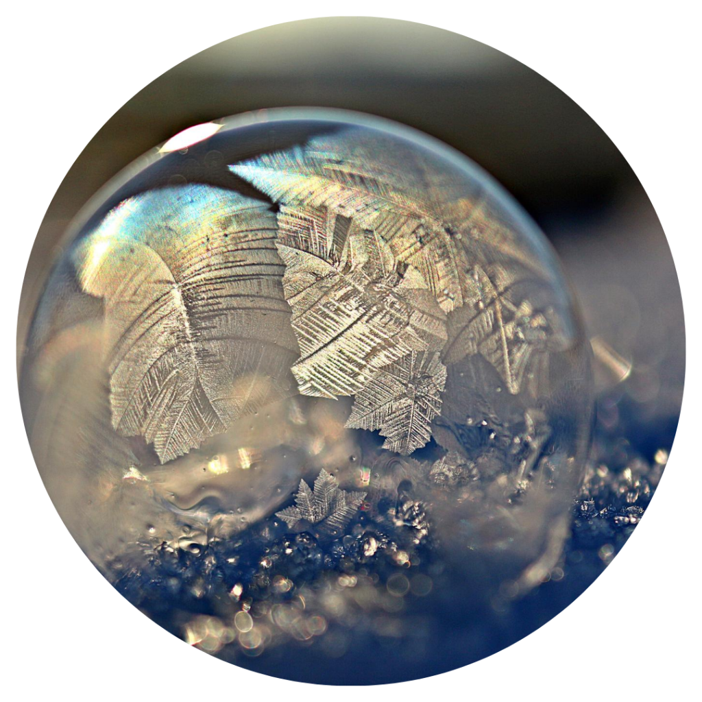 Chapter One: Snow Bubble …x